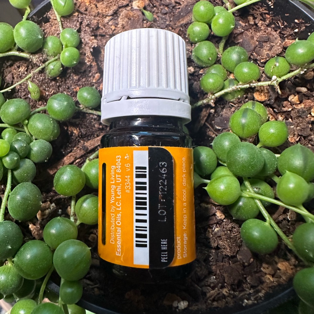 *Buy Now Priced* Young Living Citrus Fresh - Picture 3 of 3